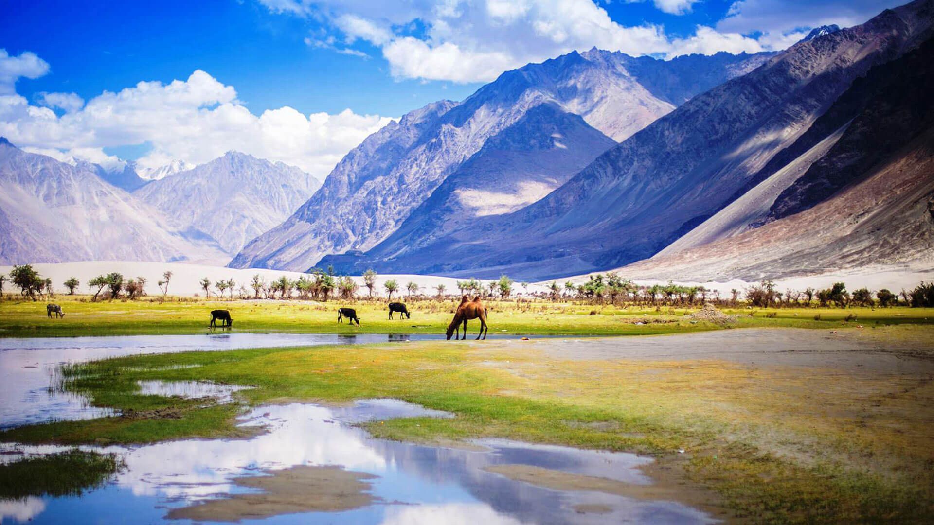 https://deshvideshstrapi.s3.ap-south-1.amazonaws.com/5c6fddae1f471_Nubra_Valley_Places_to_See_f6ea45723b.jpg - Leh-to-Leh Road Trip