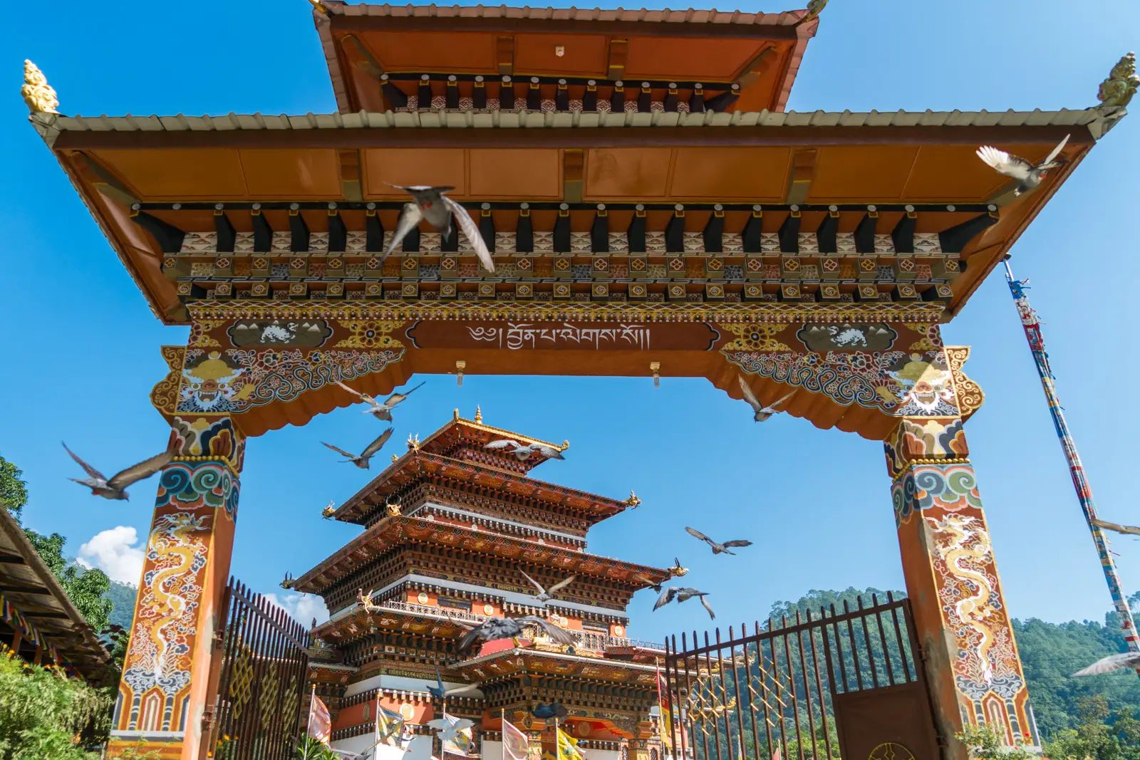 https://deshvideshstrapi.s3.ap-south-1.amazonaws.com/DSC_09213_jpg_421eb9a127.webp - Bhutan Road Trip