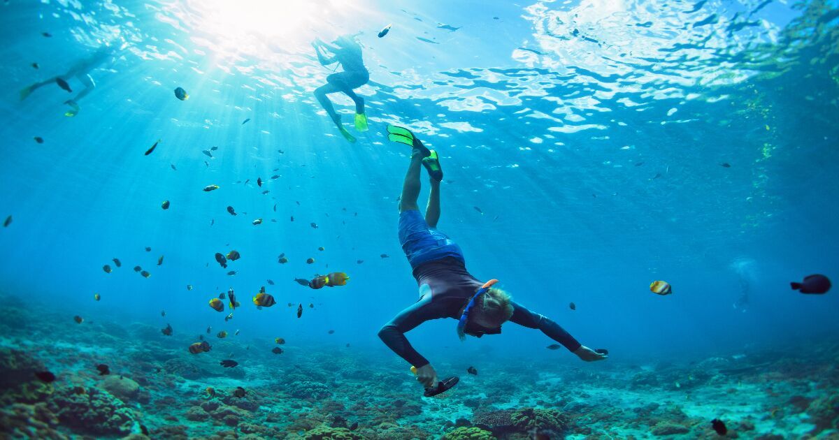 https://deshvideshstrapi.s3.ap-south-1.amazonaws.com/Fushifaru_Resort_maldives_underwater_swing_social_da5c0f3881.jpg - Bali with Gili Islands