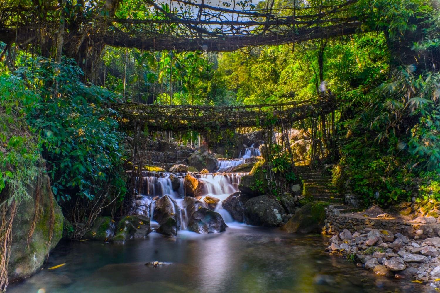 https://deshvideshstrapi.s3.ap-south-1.amazonaws.com/double_decker_root_bridge_cherapunjee_meghalaya_e1488089185256_dc17f8c21f.jpg - Meghalaya Backpacking Trip