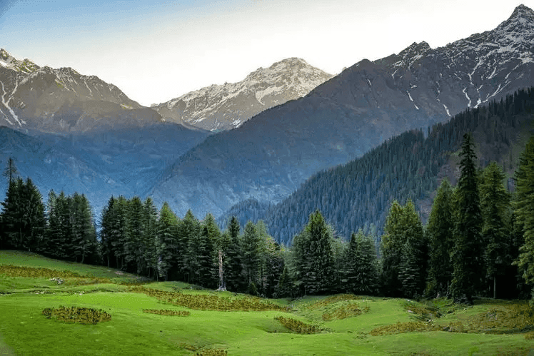 https://deshvideshstrapi.s3.ap-south-1.amazonaws.com/tjuputq8_82afb848c4.png - Kasol Kheerganga Summer Adventure