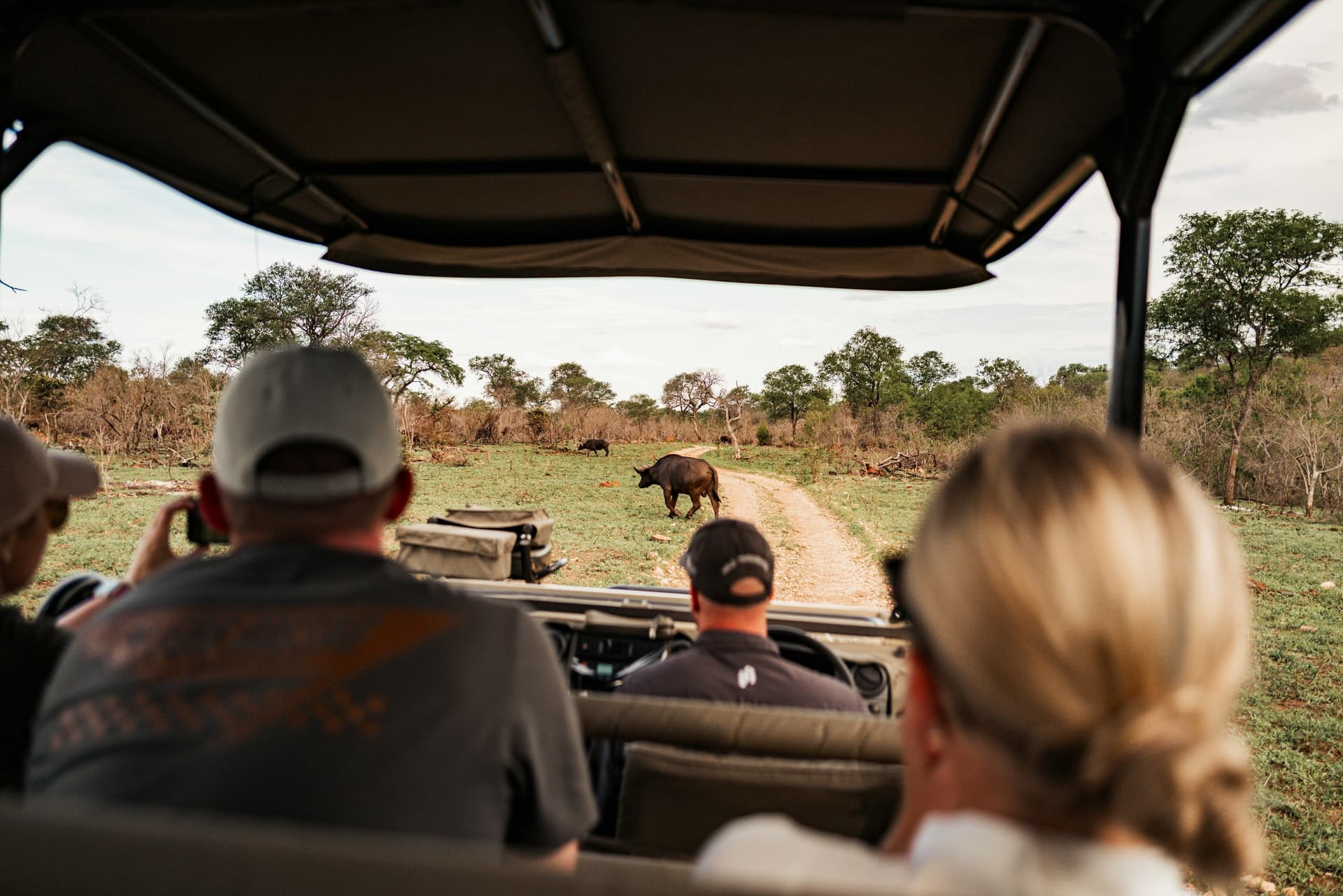 First-Time Safari Guide: What to Expect, Mistakes to Avoid & How to Prepare