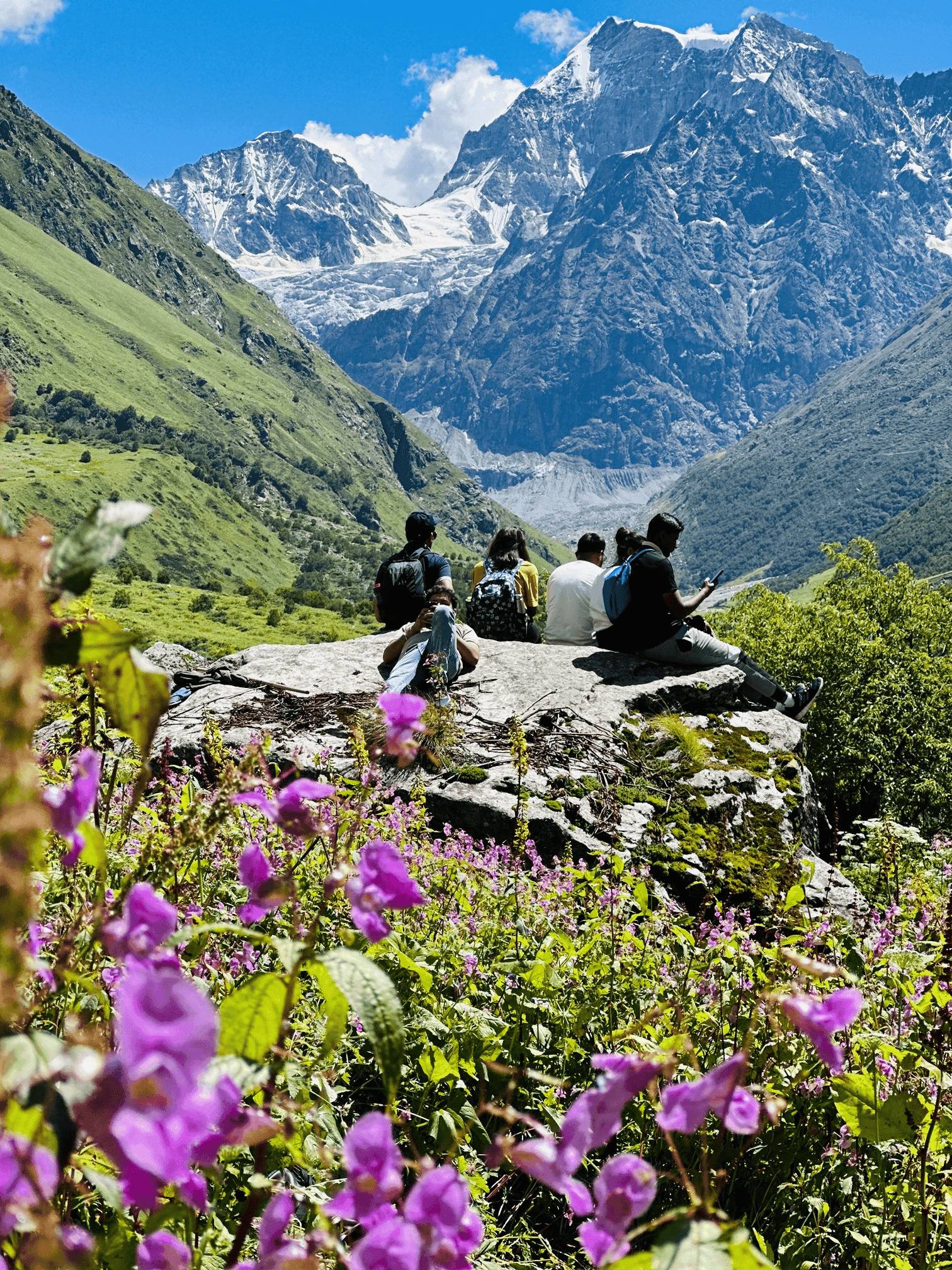 Valley of Flowers : Travel Complete Guide