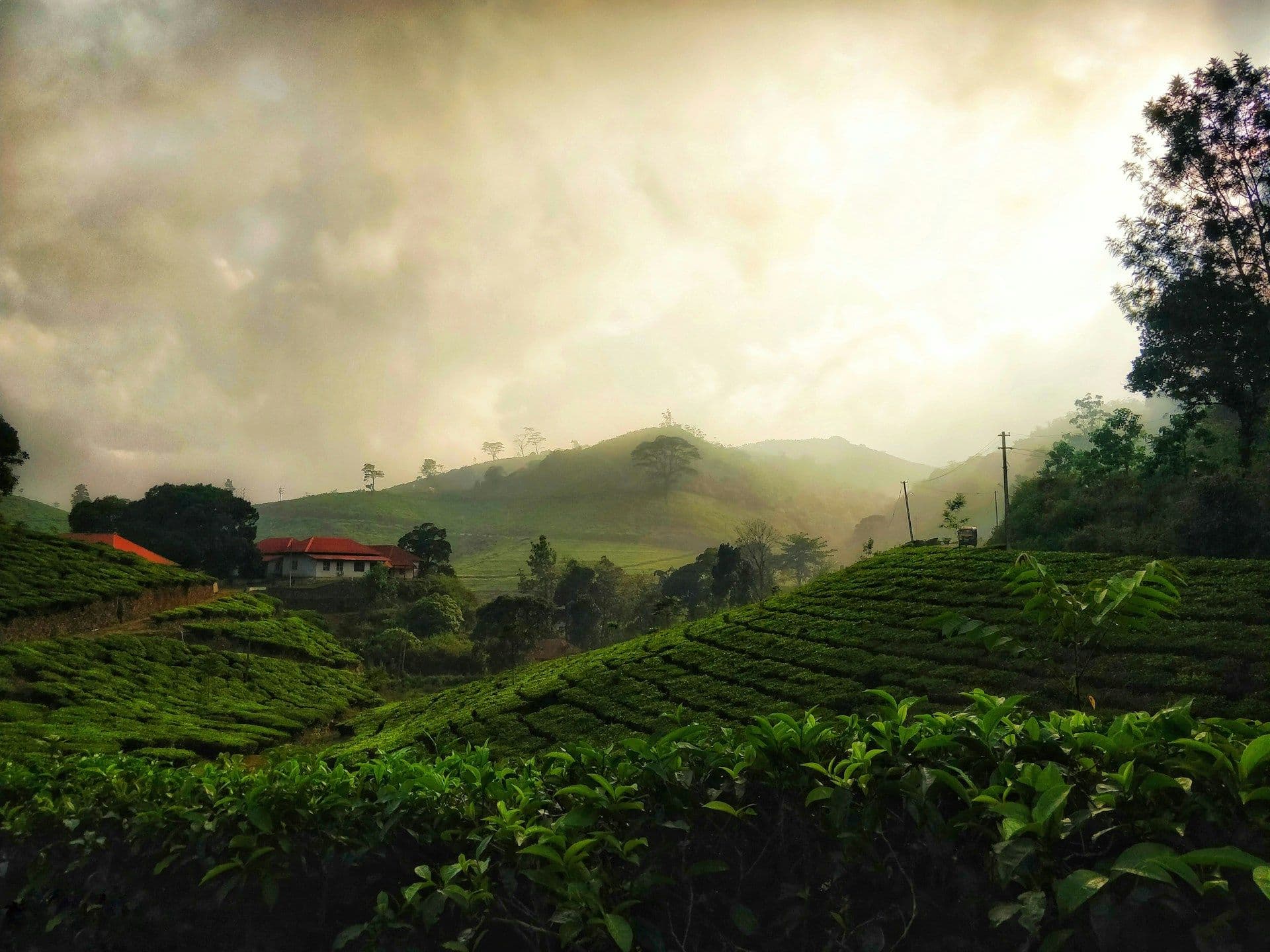 Kerala Travel Guide: Where to Go, When to Visit & How to Plan