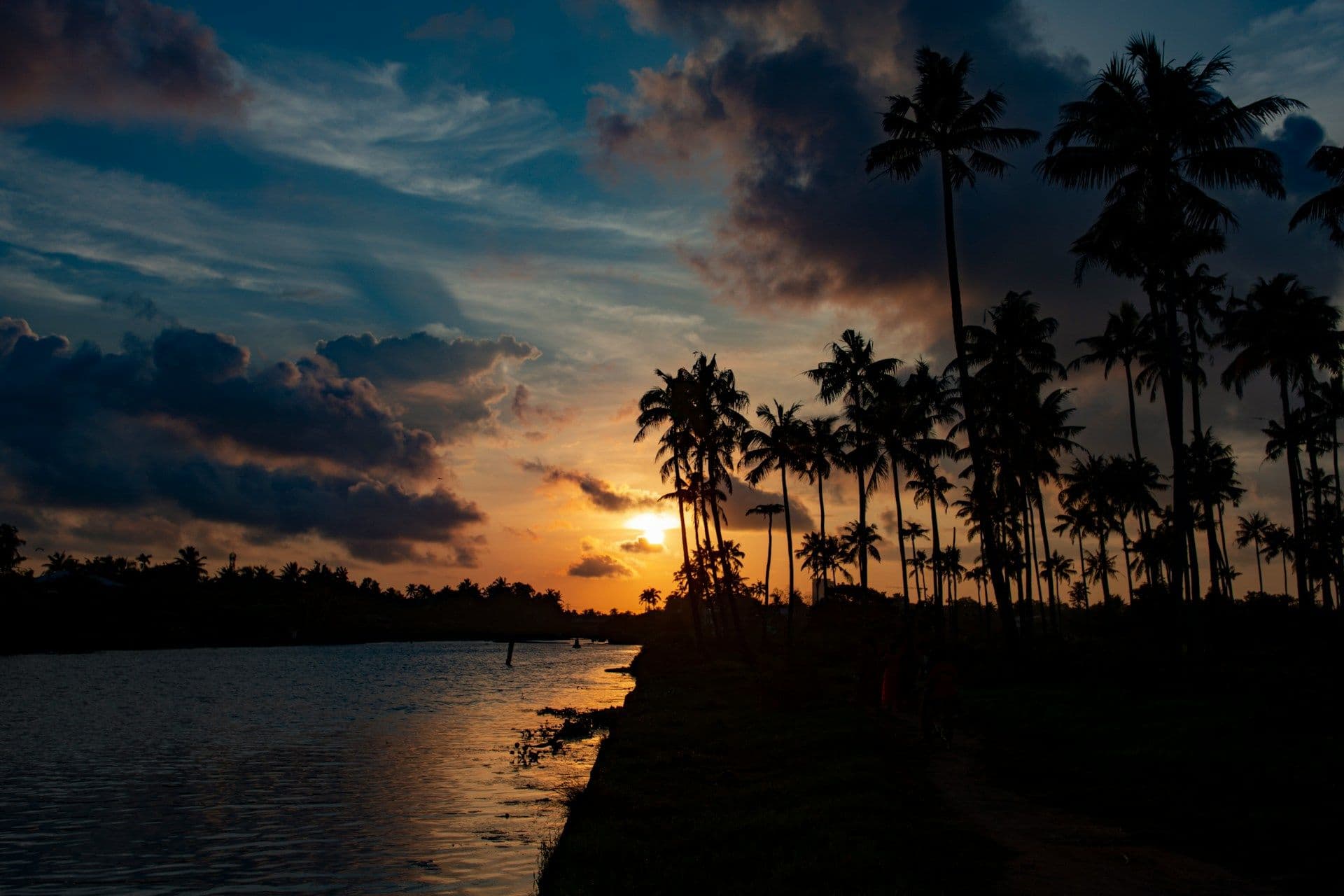 Kerala Trip Cost: Budget, Hotels, Transport & Daily Expenses