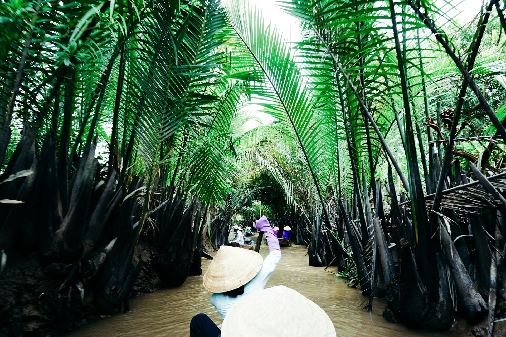 Mekong Delta Travel Guide: Floating Markets, River Life & Best Places to Visit