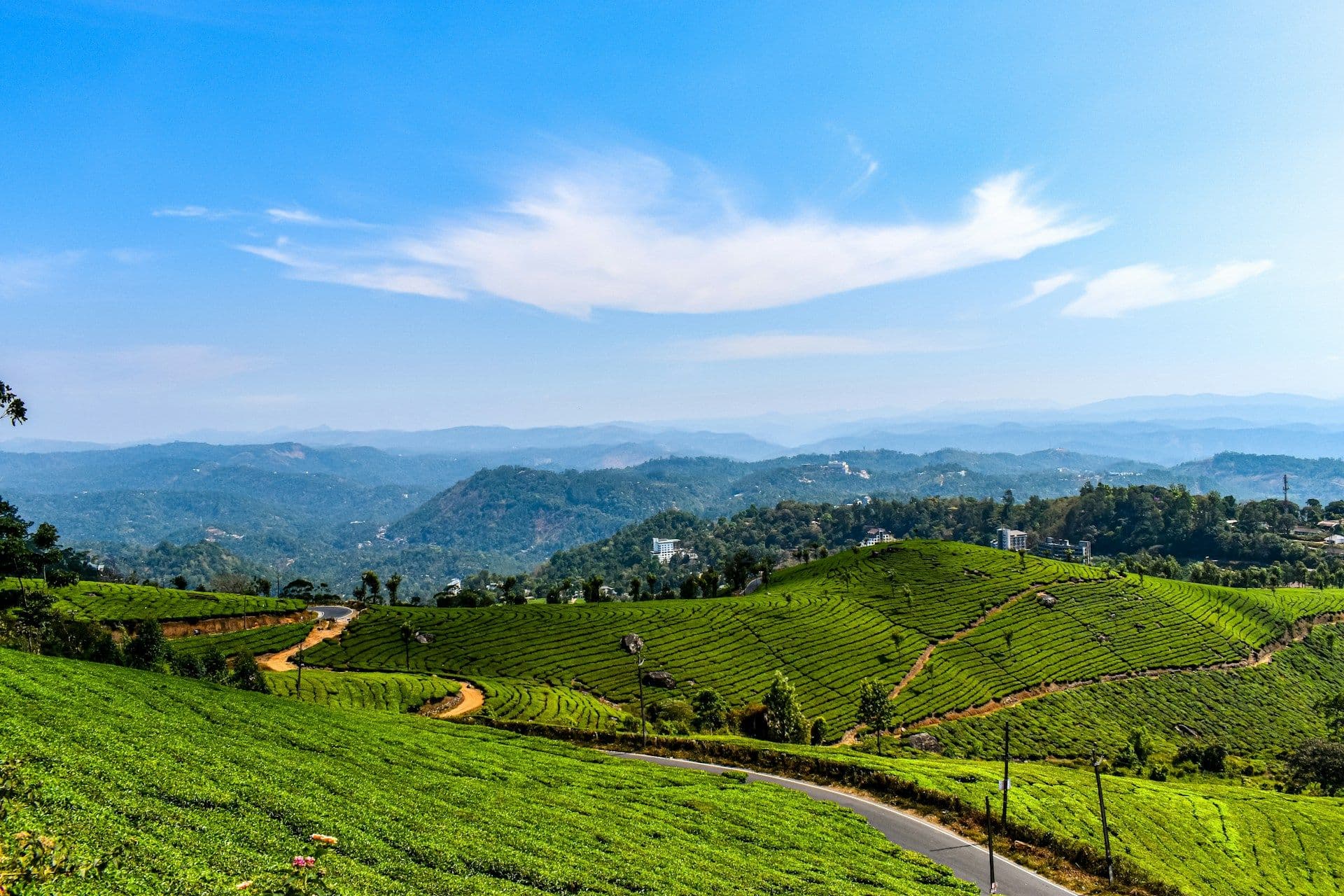 Munnar Travel Guide: Best Places, Things to Do & Trip Tips