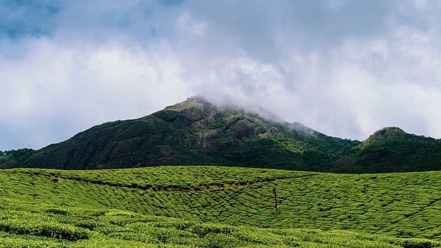 Why Kerala in Monsoon Is the Ultimate Travel Destination